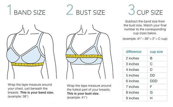 Bra Measurement Chart